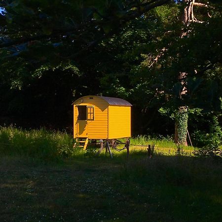 Blackstairs Shepherds Huts Killedmond 外观 照片
