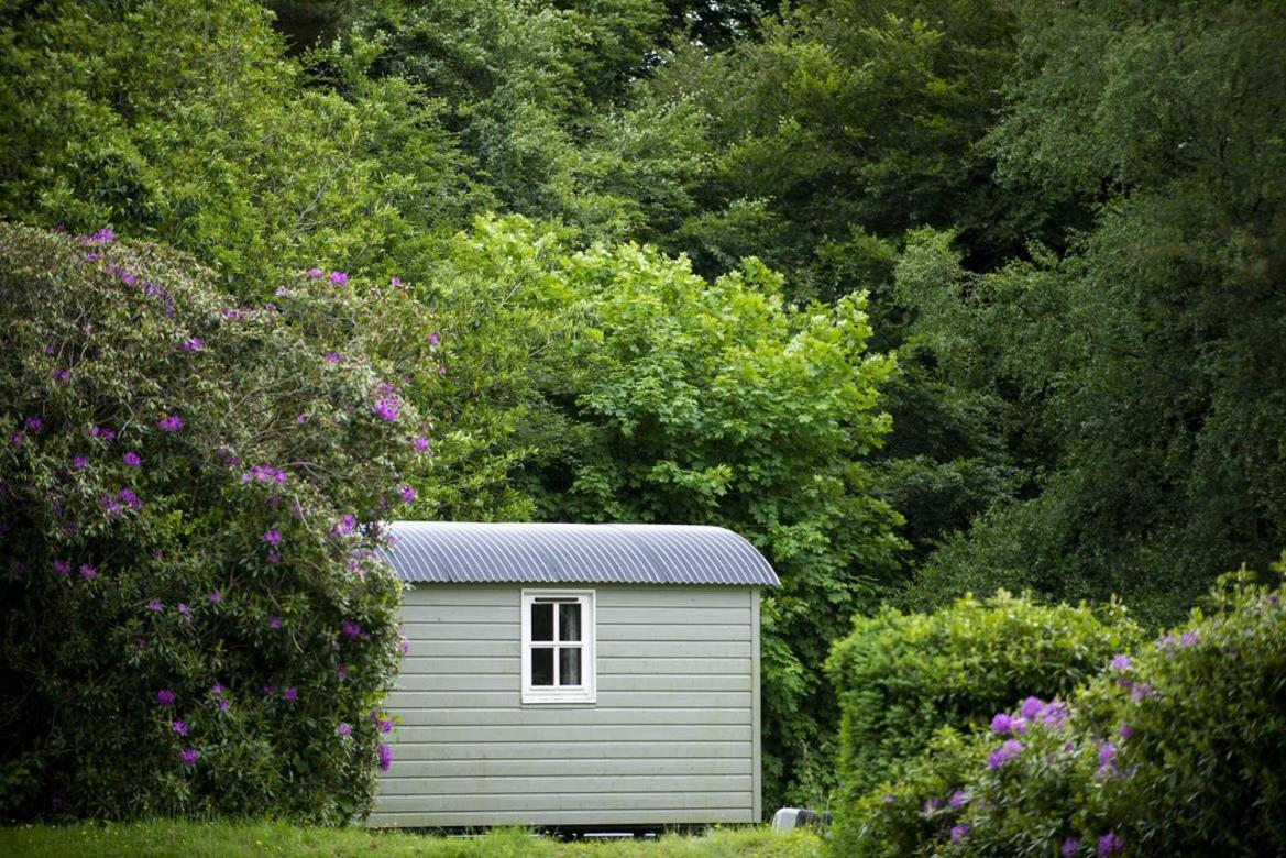Blackstairs Shepherds Huts Killedmond 外观 照片